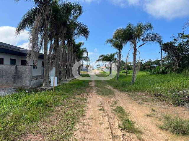 Terreno para Venda em Balneário Barra do Sul - 4