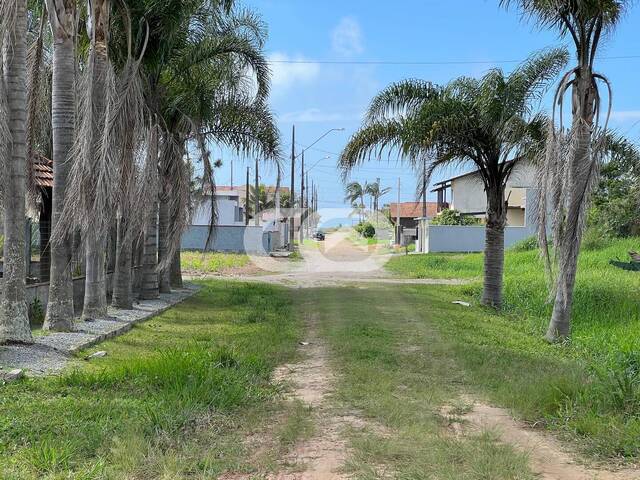 #208 - Terreno para Venda em Balneário Barra do Sul - SC - 3