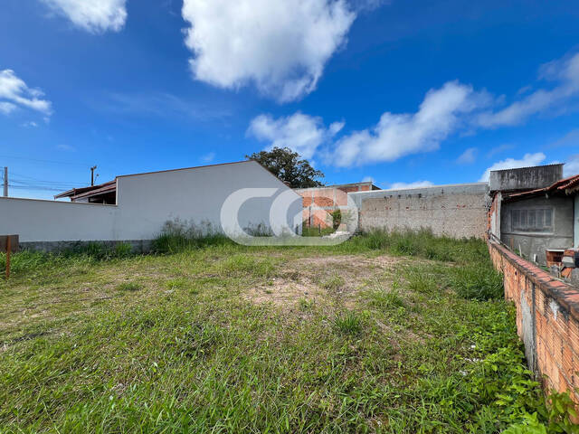 #210 - Terreno para Venda em Balneário Barra do Sul - SC - 2