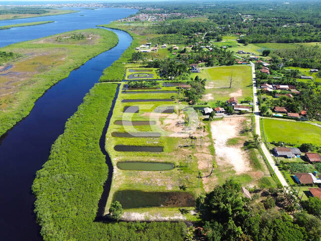 Área para Venda em Balneário Barra do Sul - 5
