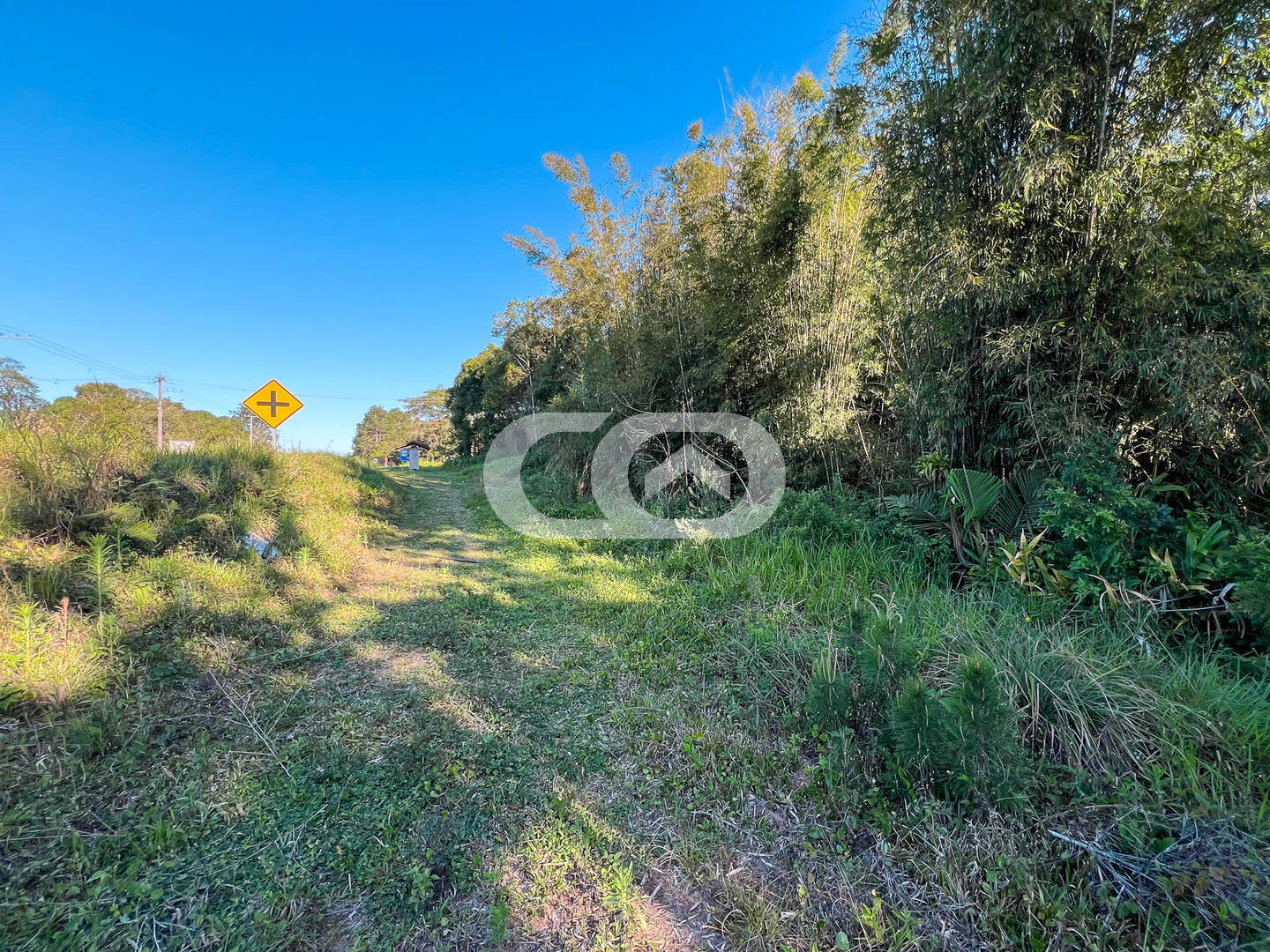 Terreno, 6199 m² - Foto 15