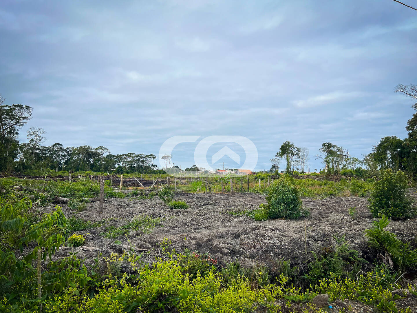 Terreno, 544 m² - Foto 6