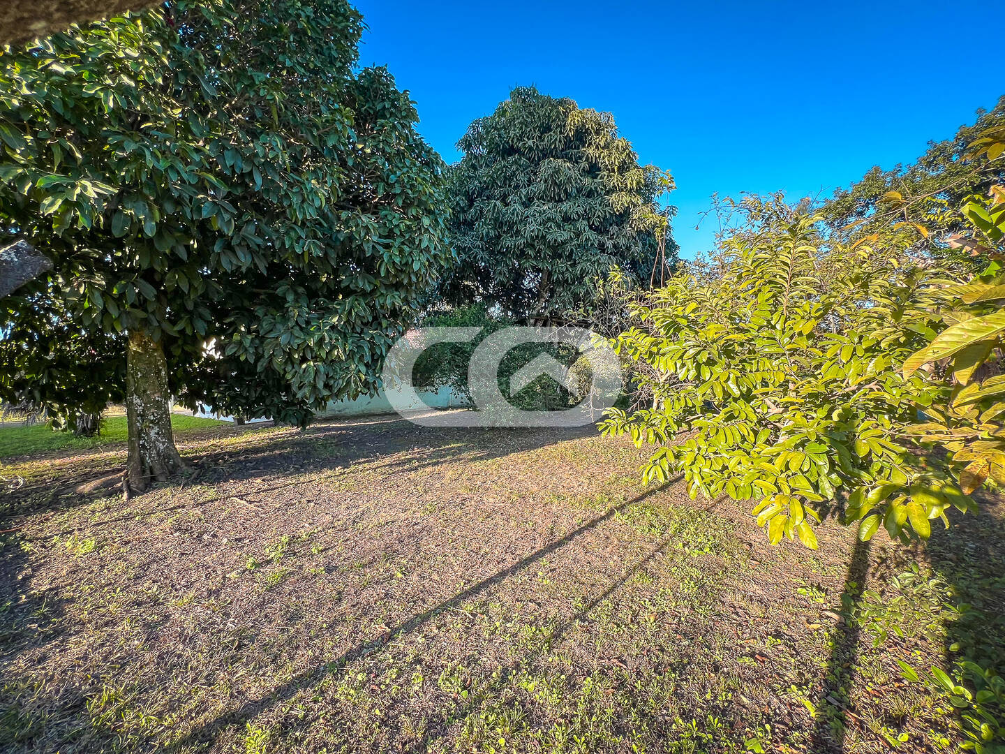 Sítio, 2 quartos, 1 hectares - Foto 20